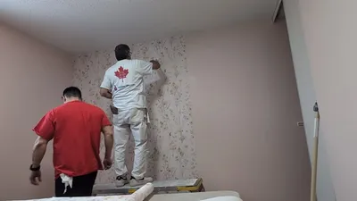 Two workers installing light pink floral wallpaper on one wall, with an adjacent wall painted a solid light pink color, and a white textured ceiling visible in a residential room.